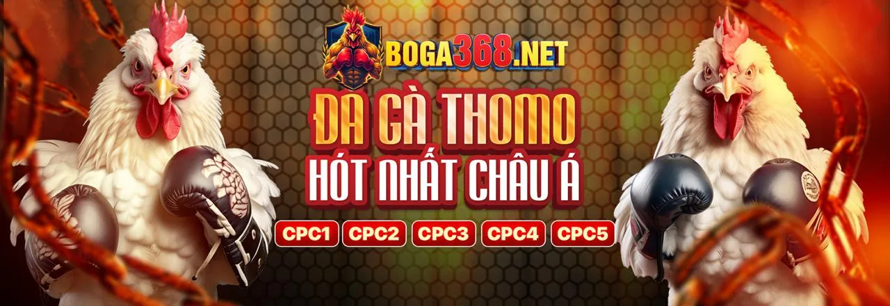 Hình ảnh chính về cá cược an toàn và có trách nhiệm tại 99kim