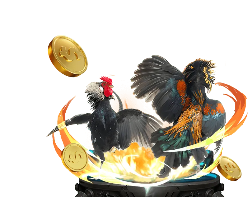 Hiểu rõ tỷ lệ cược