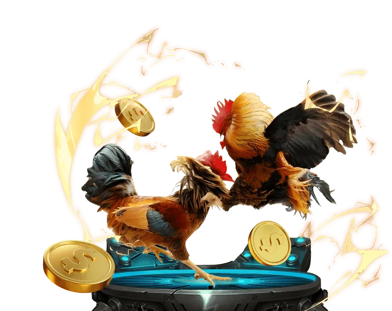 Cá cược an toàn 99kim